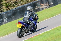 Oulton-Park-20th-March-2020;PJ-Motorsport-Photography-2020;anglesey;brands-hatch;cadwell-park;croft;donington-park;enduro-digital-images;event-digital-images;eventdigitalimages;mallory;no-limits;oulton-park;peter-wileman-photography;racing-digital-images;silverstone;snetterton;trackday-digital-images;trackday-photos;vmcc-banbury-run;welsh-2-day-enduro